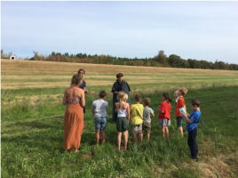 Bevers in het weiland